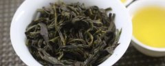 凤凰单丛茶属于什么茶