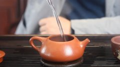 武夷肉桂茶怎么冲泡 肉桂茶冲泡方法