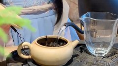 肉桂茶的冲泡方法 武夷岩茶肉桂怎么喝